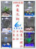 泰国斗鱼缸 亚克力迷你小鱼缸 超白水族箱 斗鱼盒 办公桌面造景缸