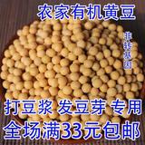 山东农家黄豆非转基因大豆农户自种发豆芽 打豆浆专用 纯天然250g