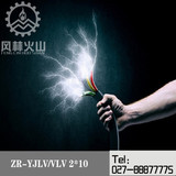 厂家直销2等芯10平方ZR-YJLV/VLV 2*10铝芯国标电线电缆