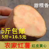 新鲜红薯 黄心 农家自种 农产品 土特产 有机番薯地瓜500g
