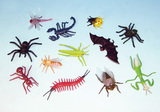 仿真昆虫模型儿童玩具礼物逼真塑胶蜘蛛蝎子蜜蜂螳螂草蜢小号套装