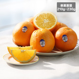 正宗进口美国新奇士橙子12个 210g/个新鲜水果比赣南脐橙香甜多汁