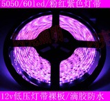 12V5050紫色/粉红LED贴片灯带低压软灯条粉紫光粉红彩色防水灯带