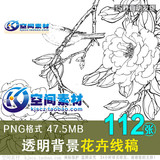 A10-花卉手绘线稿 国画白描112张工笔画设计茶花牡丹月季菊花素材