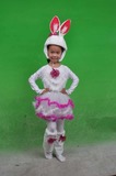 厂家批发正品幼儿小兔子跳舞衣服演出服饰女装 儿童动物表演服装