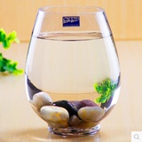 趣植园艺 圆形透明玻璃金鱼缸 水培玻璃花瓶花盆包邮 定植篮P244