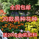 【天天特价】20包花种子套餐 四季播易种组合花卉种子送肥料