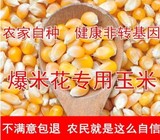 农家自种小玉米粒 爆裂玉米粒 专用爆米花苞米粒 儿时味道 250g