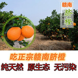 冰糖橙赣南 赣州 信丰寻乌脐橙 安远新鲜水果甜橙子10/20斤Φ70mm