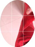 整卷100米结婚庆典礼展会用一次性红色地毯 江浙沪皖包邮特价批发