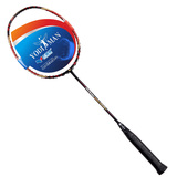 买一支送一支适中羽毛球拍控球型正品全碳素双拍男女单拍超轻2支