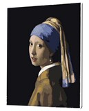 数字油画包邮欧式diy人物油画手绘客厅4050名画带珍珠耳环的少女