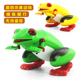 遥控模型动物儿童认知科普青蛙玩具仿真电动早教益智玩具男孩礼物