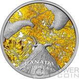 【获奖币】加拿大2014年枫叶树冠--秋天精制纪念银币