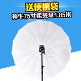 神牛柔光伞1.85米75寸16骨白伞摄影棚闪光灯柔光人像送收纳袋