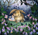 【十字绣电子图纸PDF】HAE-Hare Bells 兔子与风铃草