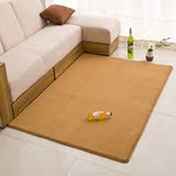 特价 欧式加厚珊瑚绒地毯 卧室客厅满铺地毯 床边飘窗榻榻米地垫