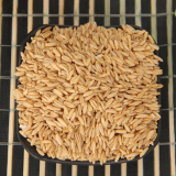 5斤包邮燕麦米 正宗燕麦米 全胚芽生燕麦仁燕麦粒 纯天然 250g