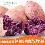 越南新鲜 紫薯生番薯现挖地瓜山芋新鲜蔬菜小红薯山芋散装5斤包邮