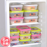 日本进口冰箱保鲜盒长方形塑料密封盒有盖饺子盒食品收纳盒可微波