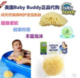 Baby Buddy希腊地中海天然蜂窝海绵婴儿童宝宝洗脸洗澡沐浴棉擦球