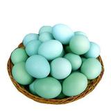 农耕生态园新鲜农家绿壳鸡蛋散养乌鸡蛋土鸡蛋纯粮喂养特价包邮