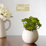 美欧法式陶瓷白色壁挂花瓶简约线条艺术摆件多肉植物笔筒筷桶