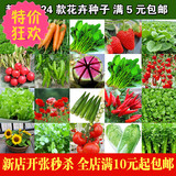 四季蔬菜种子小白菜香菜萝卜辣椒黄秋葵草莓茄子香葱韭菜苦瓜