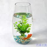限时促销！包邮 透明玻璃鱼缸  水培富贵竹花瓶 花插 办公桌鱼缸