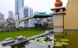 重庆江景屋顶花园日租酒店式短租家庭公寓一房一厅豪华套房