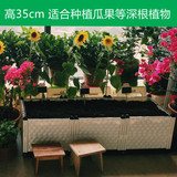 倾阳园艺 特大型加深种植箱设备 阳台种菜花盆 种植槽 长方形包邮