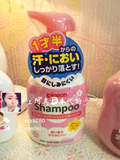日本代购 国内现货新款Pigeon贝亲儿童花香洗发水护发二合一350ML