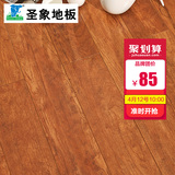 圣象地板 GT7196夏威夷樱桃耐磨时尚靓面 强化复合木地板