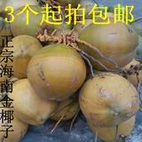 海南热带新鲜红椰子金椰子黄椰子清热解毒3个起拍包邮特价热销中