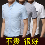 短袖衬衫男夏季常规修身型纯棉商务衬衣男装青年薄款工作半袖寸衫