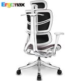 Ergomax Evolution真皮椅人体工学电脑椅家用办公椅子游戏电竞椅