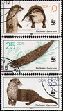 276 外国盖销邮票 东德 1987年 野生动物 保护动物 海獭(3枚)