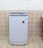 热卖TCL XQB50-1678NS 5公斤 6键十程序 全自动洗衣机全新联保发