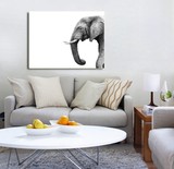 现代大象黑白经典动物摄影北欧个性装饰画卧室书房复古无框画挂画