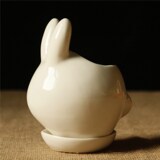 【双十二四件包邮】多肉白瓷陶瓷小兔花盆