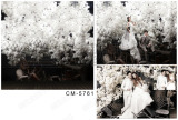 室内婚纱背景纸背景轴架摄影背景布拍照拍摄背景影楼背景CM-2669