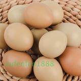 蛋非种蛋新鲜原生态农家散养野生土鸡蛋月子营养喜蛋30枚包邮野鸡