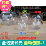 圆球型简约透明玻璃水培花瓶 水养绿萝植物花卉大号桌面花盆 器皿