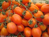 新鲜蔬菜 水果 黄色圣女果 橙色 小番茄 迷你西红柿 二斤