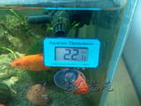 无线电子潜水温度计水族爬宠鱼缸草缸龟缸海水缸数显测温仪液晶