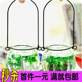 透明南瓜玻璃花瓶吊兰绿萝植物悬挂式花盆水培容器小吊瓶送铁环抢