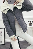 秋冬新款韩版时尚纯色双层领保暖羊毛长袖女短款毛呢外套羊绒大衣