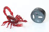 热门创意玩具充电遥控动物蝎子包邮电动仿真动物儿童新鲜玩具男孩