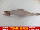 海南合惠海鲜 野生深海活捕 龙头鱼 豆腐鱼 当天捕捞 三亚海鲜