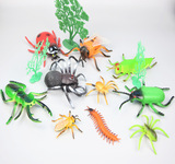 新奇特仿真昆虫模型玩具 塑胶昆虫摆件 袋装螳螂蜘蛛模型玩具批发